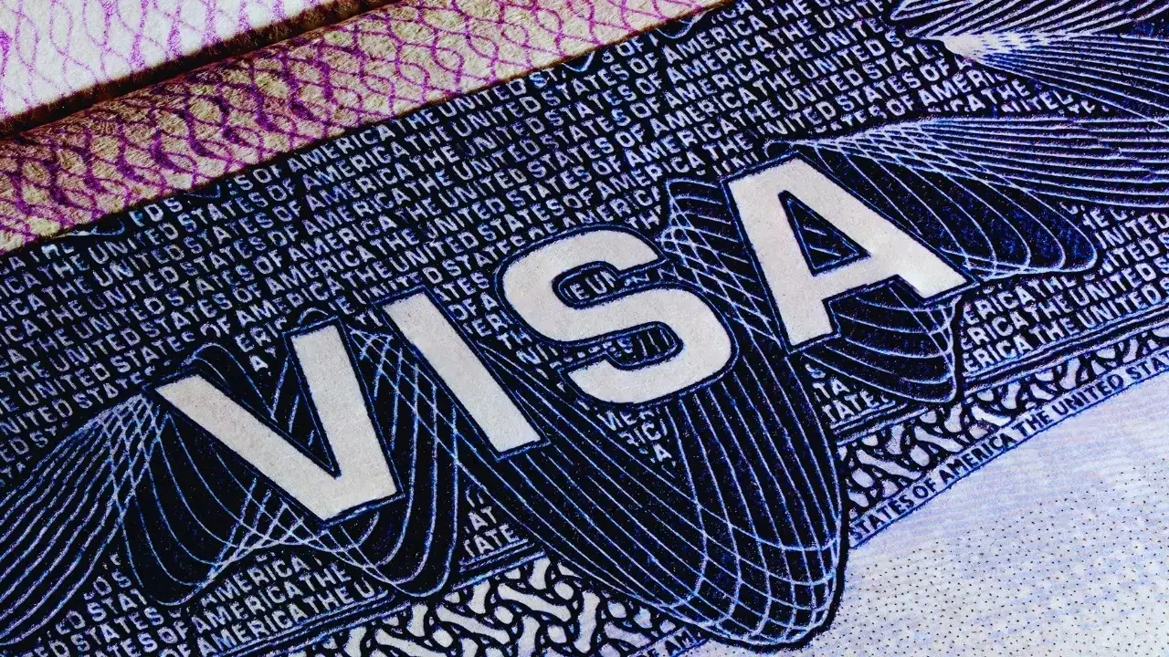 h1b portal